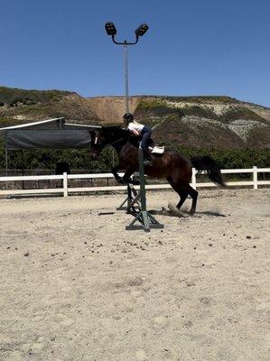 Showcase Training Stables