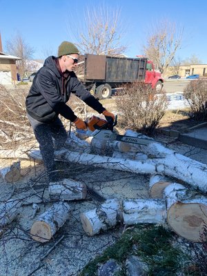 Tree removal in Farmington UT