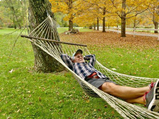 Relaxing on the hammock