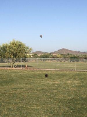 Beautiful Dog  Park!