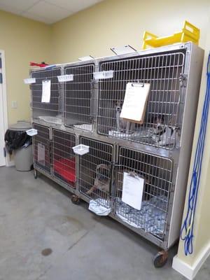 Hospital kennels