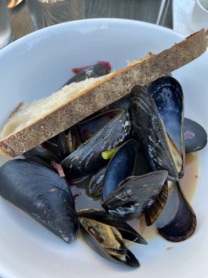 Mussels