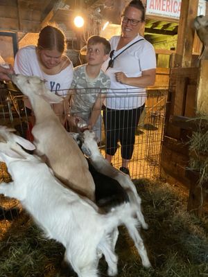 Enjoyed feeding some baby goats - personally Chive was my favorite.