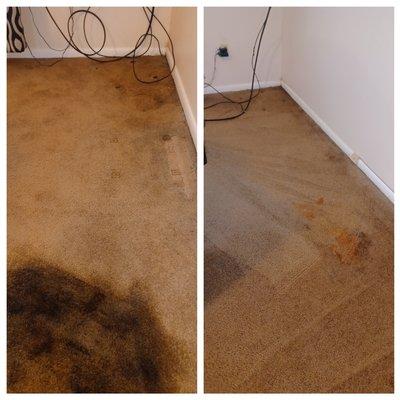 Before and after black mold cleaning