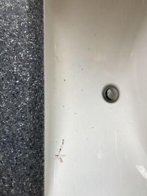 Grease stones vanity sinks