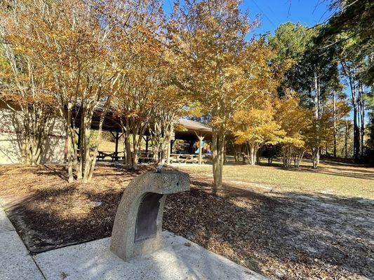 Nice fall colors by the reservable pavilion and restrooms