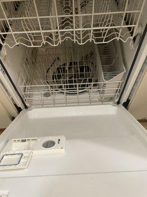 Move out appliance/dishwasher cleaning