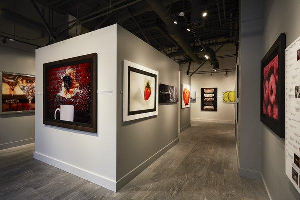 Modernist Cuisine Gallery