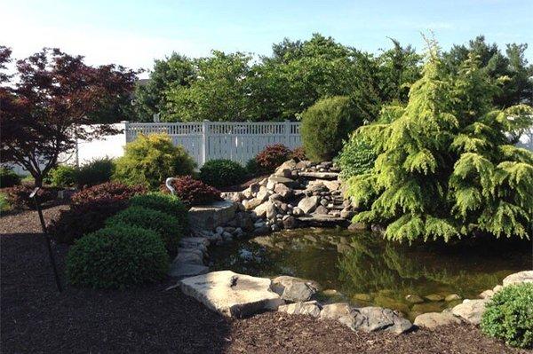 Backyard koi pond