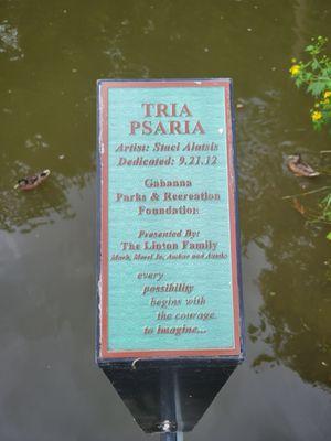 Plaque