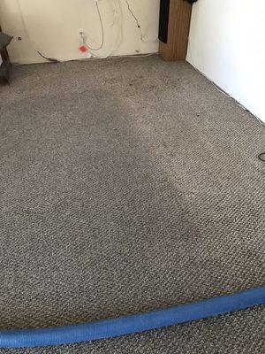 Before the cleaning. We had done it ourselves with our own machine and had almost given up and bought new carpet.