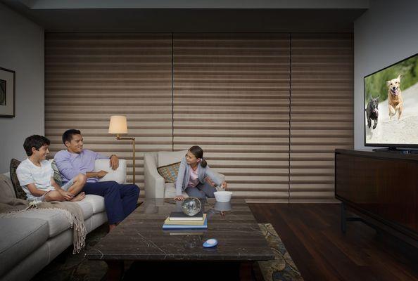 Block that glare from your TV with some beautiful custom made blinds.