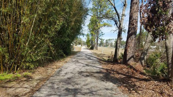 Runs parallel to US 17 - Some areas are open with a clear view of US 17