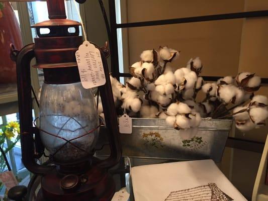 Real Alabama cotton