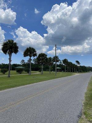 Road between Park and Mobile Bay