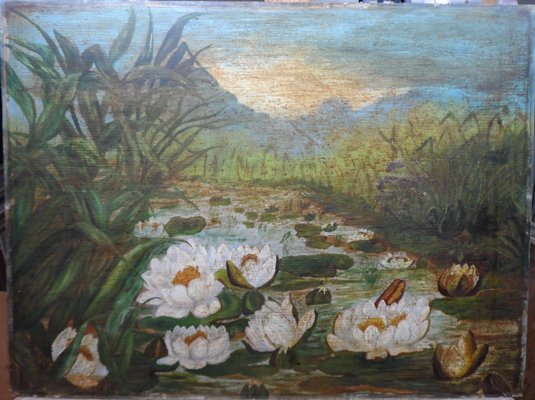 Water Lilies Before Restoration