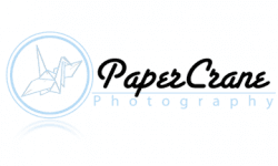 Paper Crane Photography