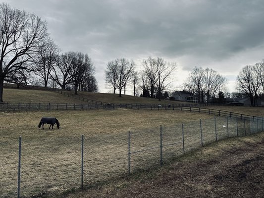 View Of Stables