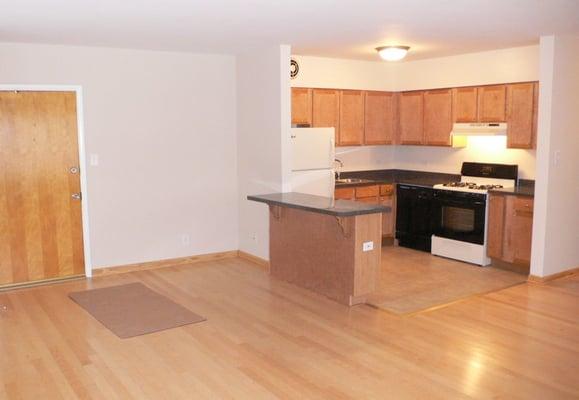 An example of a Modern Open Kitchen