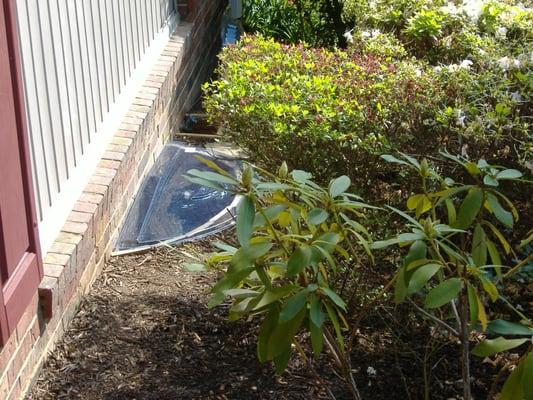 Window wells and landscaping.