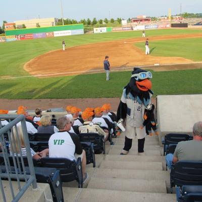 VIP night at the ball diamond.