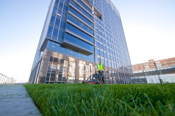 Commercial landscaping at Ernst & Young.