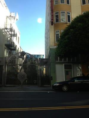 Tenderloin garden