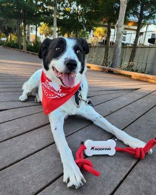 Mighty Dog Roofing of North Orlando FL