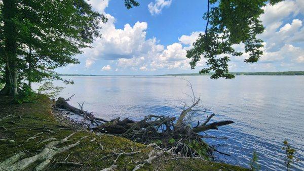 View from the island