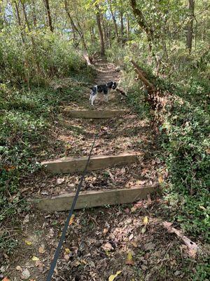 Badgley Run Park