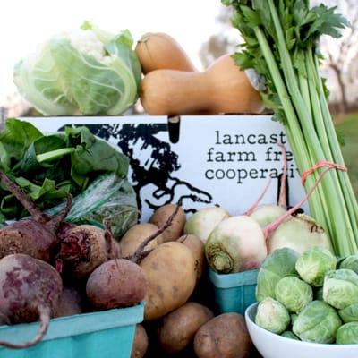 Lancaster Farm Fresh Cooperative