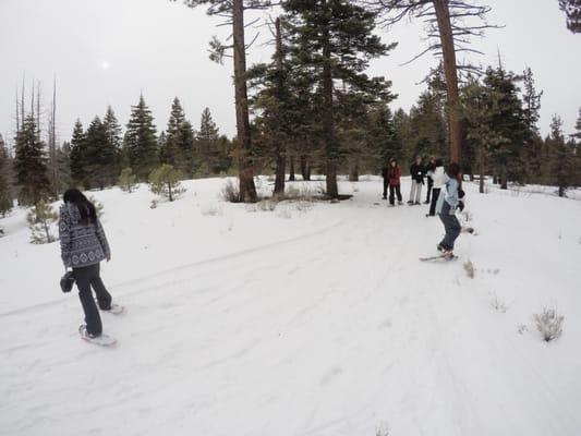 Trail for snowshoeing