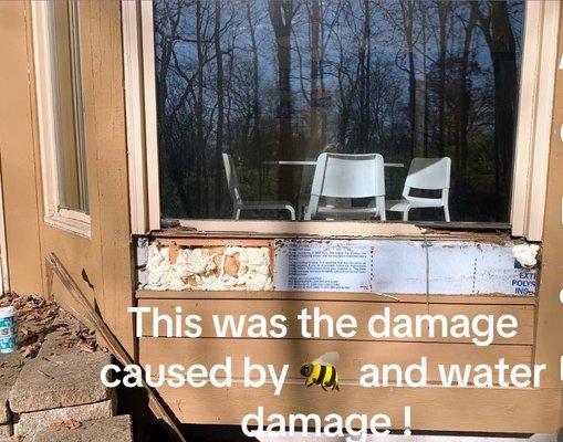 Bee damage water damage etc!!