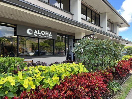 Aloha Personal Training