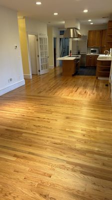 Sun spots removed and floor color back to an even color and sheen