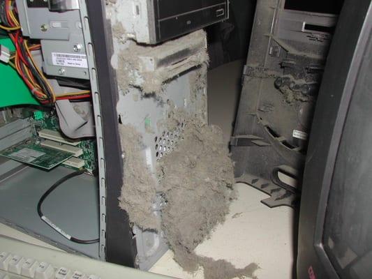 Contrast Computing's In-Shop Service Always includes "The Free Cleaning"!