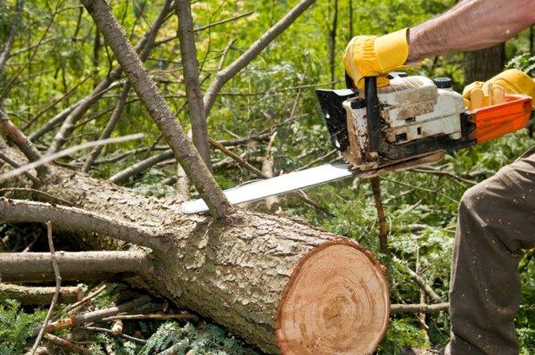 United Tree Service