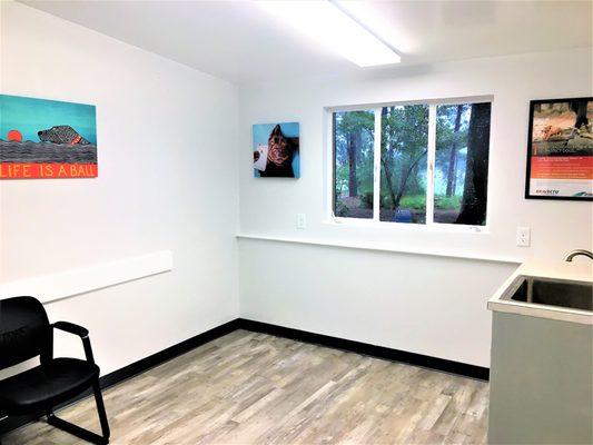 Exam room 1 at Pinehurst Animal Hospital