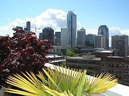 Rooftop View