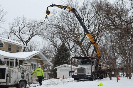 Our specialized equipment makes hazardous and complex removals--including fallen trees, difficult to reach locations and dead trees--safe.