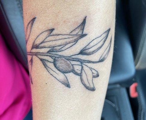 Olive branch cuff tattoo