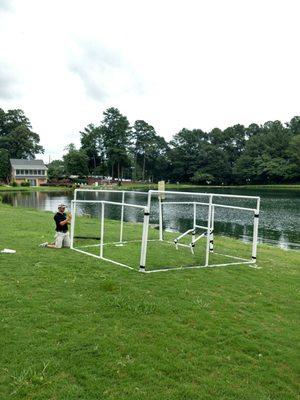 Setting Muscovy duck traps