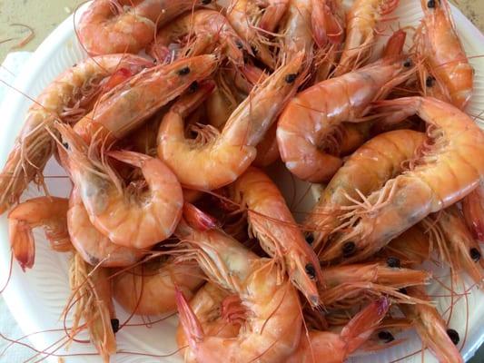 Boiled shrimp $7