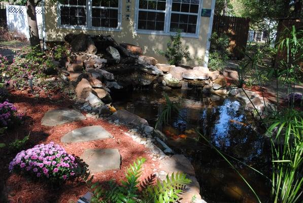 Huge Koi in the Koi Pond