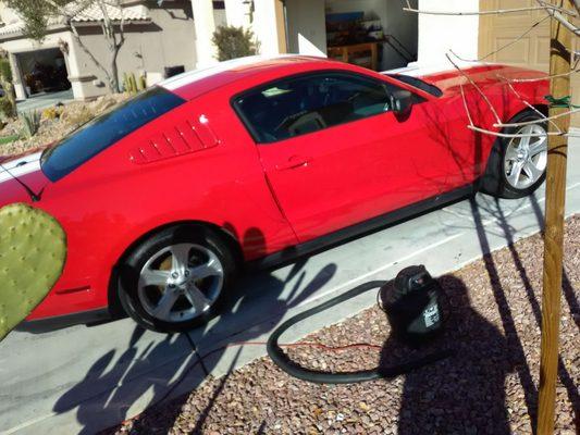 This Mustang got a hand polish and hand wax on it.