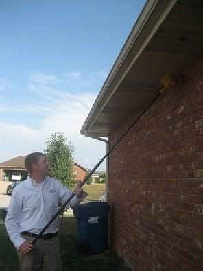 Spider web removal done on ever pest control service. Springfield, MO