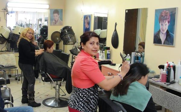 Palisade Hairstylist in Yonkers, NY offers great services.