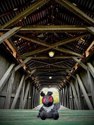 Simpson Creek Covered Bridge