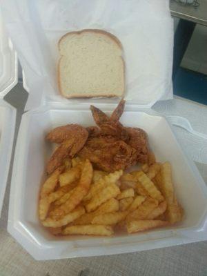 Wings and fries