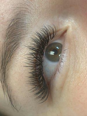 Volume (C, curl) Lash Extensions